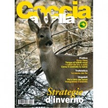 Caccia a palla n° 5/6 2010 in edicola dal 5 gennaio 2011